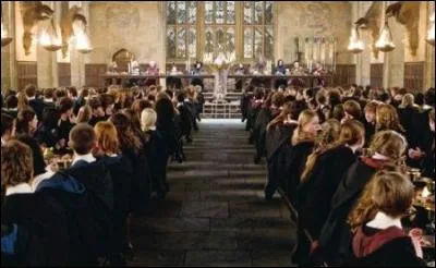 Quel est le collègue que tu préfères ?