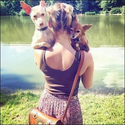 Comment s'appellent les chiens de Natoo ?