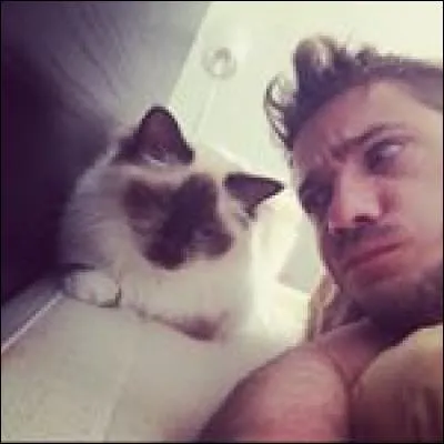 Comment s'appelle le chat de Mathieu Sommet ?