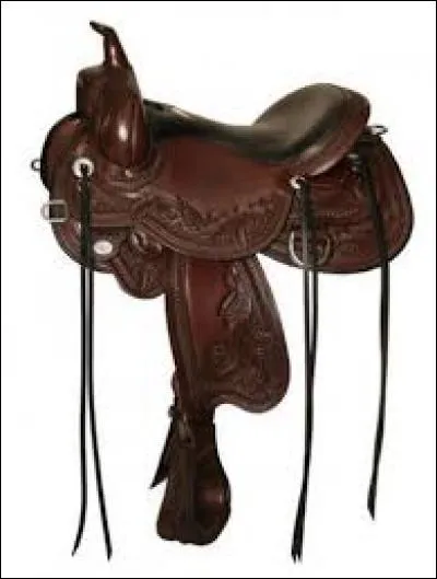 Comment se nomme cette selle?