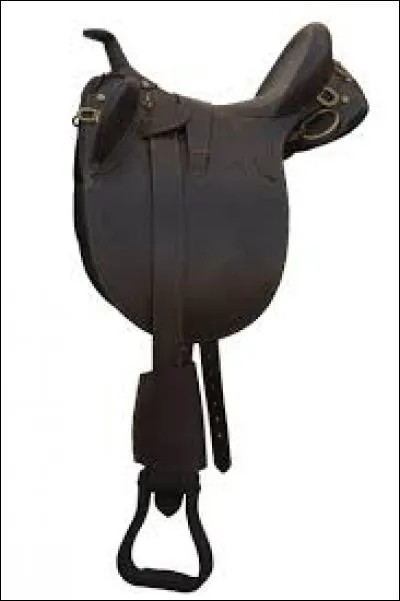 Comment se nomme cette selle?