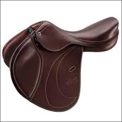 Comment se nomme cette selle?