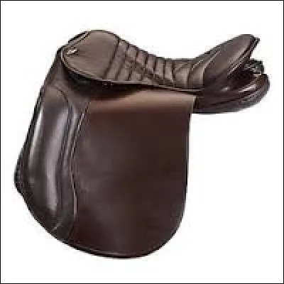 Comment se nomme cette selle?