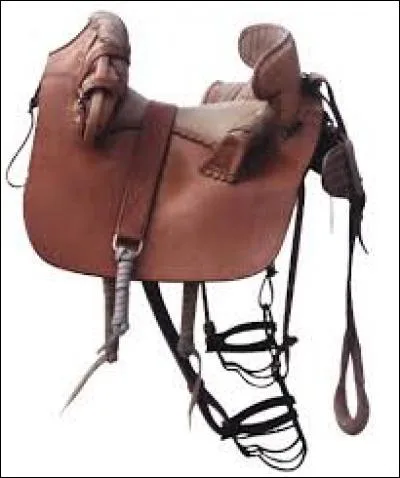 Comment se nomme cette selle?