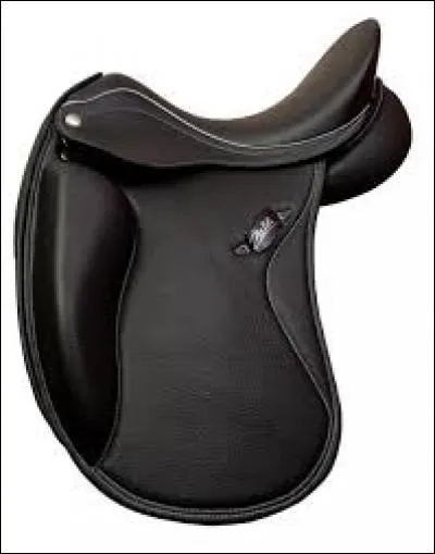 Comment se nomme cette selle?
