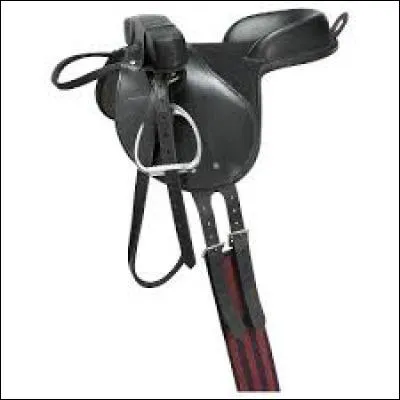 Comment se nomme cette selle?