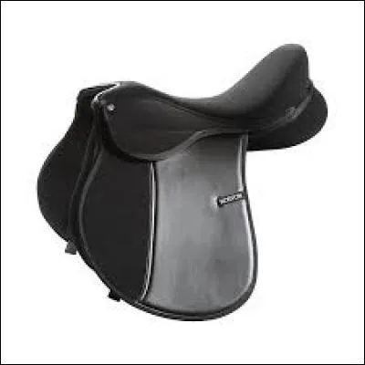 Comment se nomme cette selle?