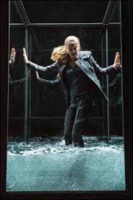 Dans son premier paysage, qui crie de peur avec Christina lorsque Tris se noie dans la prison de verre ?