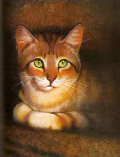 Tu perds de vue ton apprenti.
Il se cache dans un buisson.