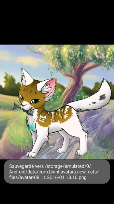 Tu te rends compte que l'un(e) de tes camarades est très sympathique et tu te demandes si tu n'es pas amoureux de lui/d'elle.