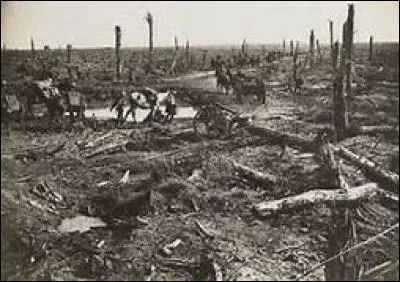 Comment appelle-t-on la zone se situant entre les lignes ennemies ?