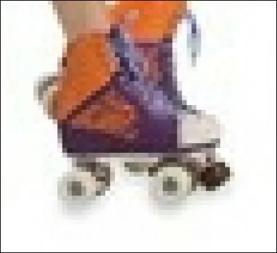 Ces patins appartiennent à :