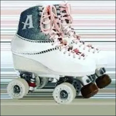 Ces patins appartiennent à :