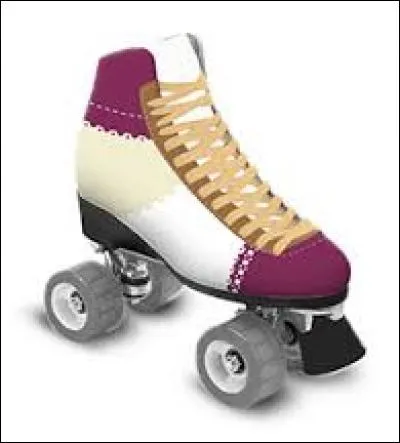 Ces patins appartiennent à :