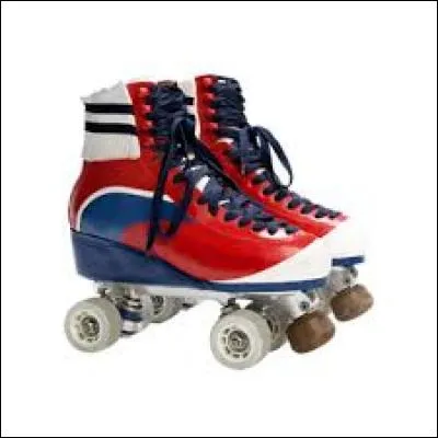 Ces patins appartiennent à :