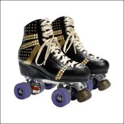 Ces patins appartiennent à :