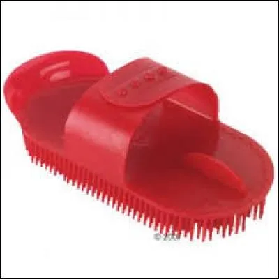 Comment s'appelle cette brosse ?