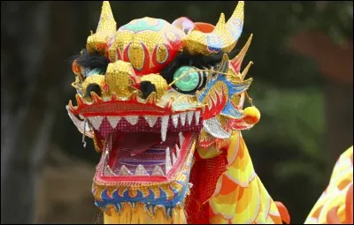 Aimez-vous la culture chinoise de près ou de loin?