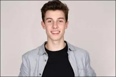 Quelle chanson a rendu Shaw Mendes célèbre ?