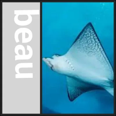 Indice : vent du nord.