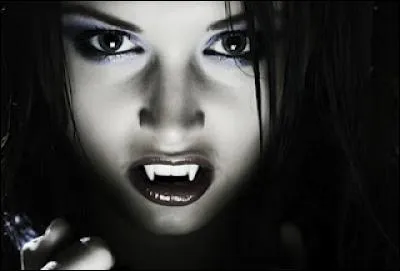 Tu as le choix entre quatre programmations à la télé, que choisis-tu ?