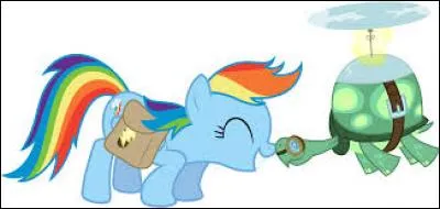 Comment s'appelle l'animal de compagnie de Rainbow Dash ?