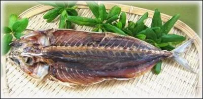 Comment s'appelle le poisson qui pue mais que Nika adore?