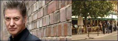 Un jeune homme s'installe à une terrasse de café. Trouvera-t-il l'amour ? Quelle est cette chanson ?

«  Après-midi, Paris c'est fun, en terrasse, attablé
Regards lourds de sens et connivence pour qui cherche une main
Je n'attends vraiment rien, je viens pour y lire des bouquins
Artaud, Miller puis faut qu'j'aille
Traîner sans raison »