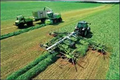 Laquelle de ces parts correspond &agrave; celle des travailleurs appartenant au tertiaire &agrave; l'int&eacute;rieur de la population active fran&ccedil;aise, en 1913 ?