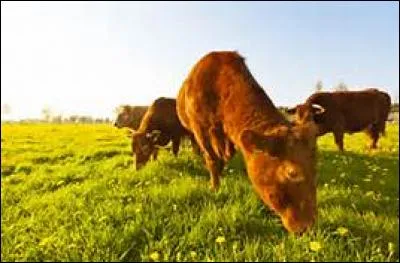 Qu'en &eacute;tait-il en 2010 ?