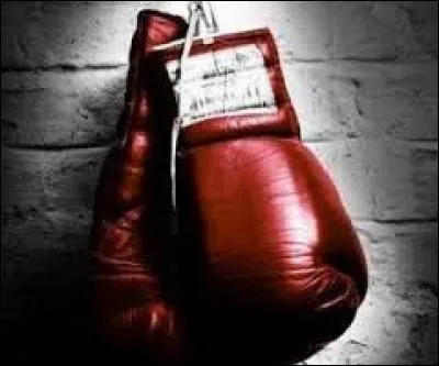 Si je vous dis : boxe / Amérique / amateur : champion olympique aux Jeux de Tokyo en 1964 / professionnel 1965-1981 : champion du monde 1971, vous désignerez ...
