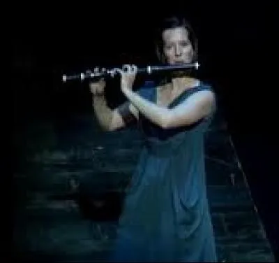 "La Flûte enchantée", son compositeur est ci-dessous : désignez-le.