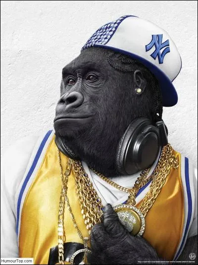 Ce gorille est fan de...