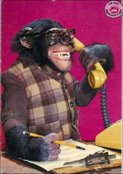 Qui a dit cette phrase : "Allo, t'es une fille, t'as pas de shampoing. C'est comme si t'es une fille, t'as pas de cheveux" ?