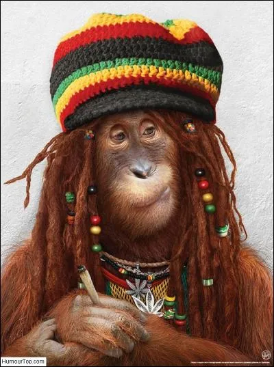 En quoi est-il déguisé ?