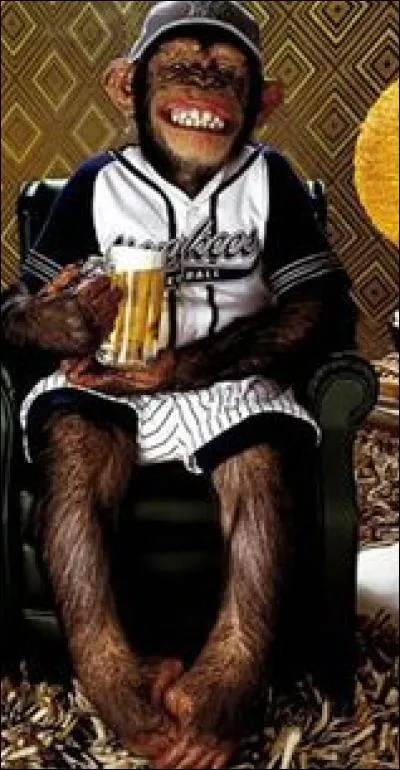 Avec modération, bien évidemment, ce singe consomme...