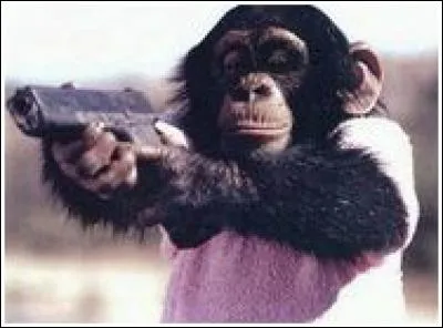 Qu'a-t-il dans les mains ?