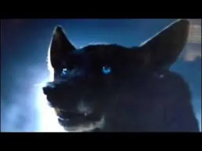 Dans la saison 4 : qui passe au stade supérieur (possibilité de se transformer complètement en loup) ?