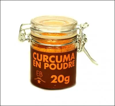 Le curcuma est une épice de la famille des gingembres.