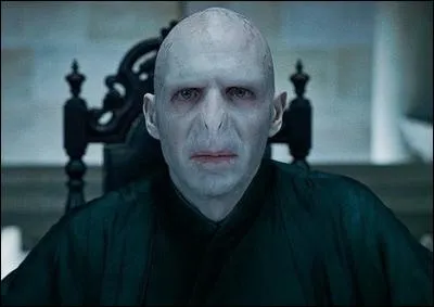 Combien Voldemort a-t-il créé d'Horcruxes en tout ?