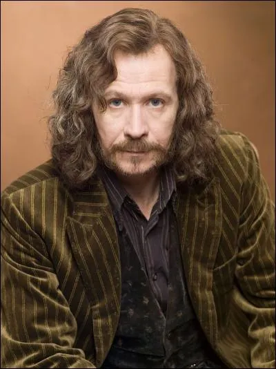 Qui est Sirius Black pour Harry Potter ?