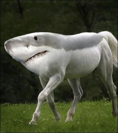 Trouves-tu cette image effrayante ? Si c'est le cas, je ne peux plus rien pour toi.