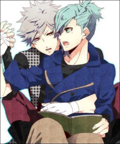 Quel est ce couple yaoi ?