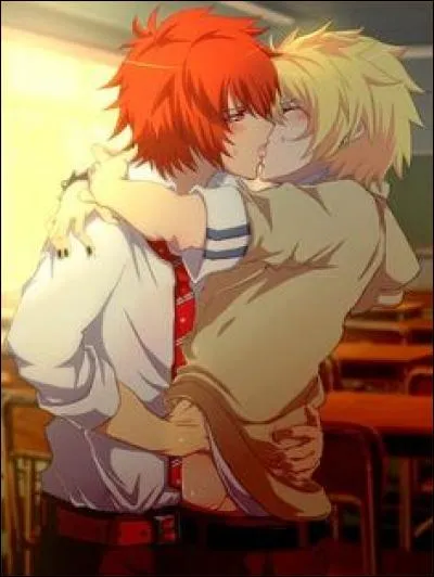 Quel est ce couple yaoi ?