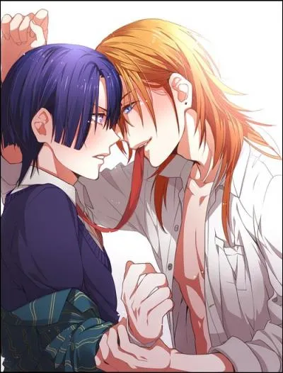 Quel est ce couple yaoi ?