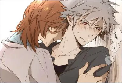 Quel est ce couple yaoi ?