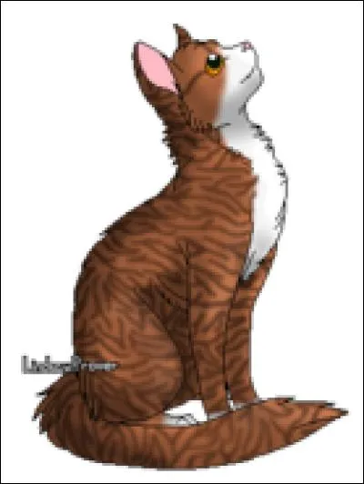 Feuille de Lune. Qui est son compagnon ?