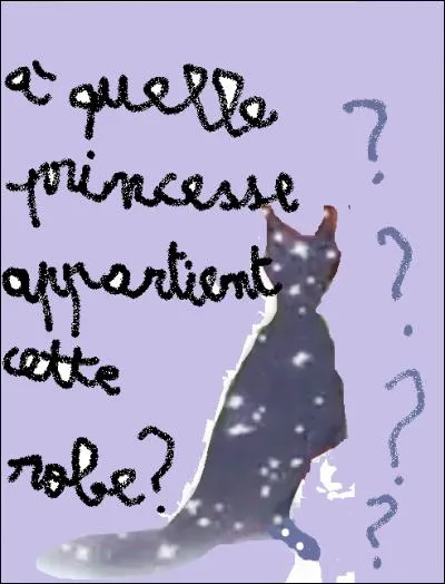 À quelle princesse appartient cette robe