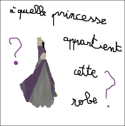 À quelle princesse appartient cette robe ?