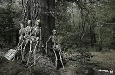 Qui a menotté Richard Sumner ?